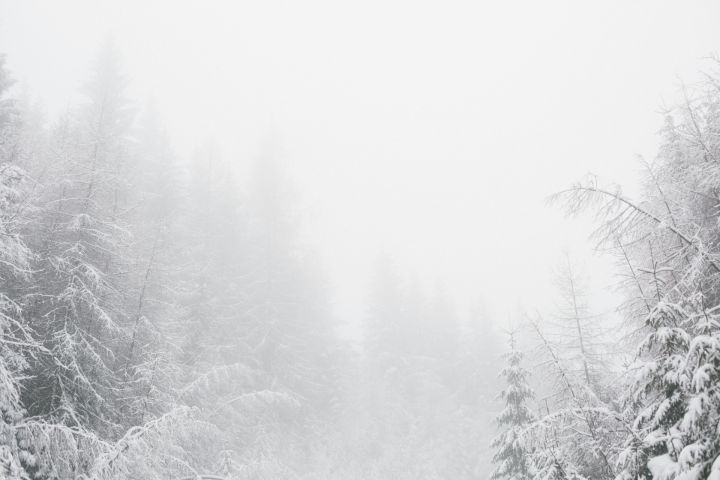 Ceturtdien daudzviet, tostarp Ogrē, gaidāms neliels sniegs