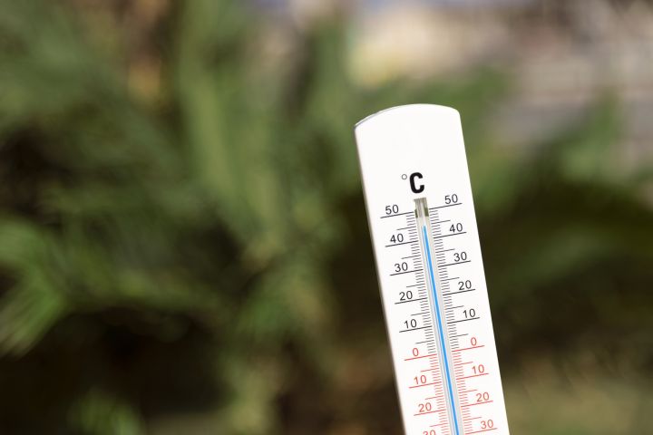 Mēneša vidējā gaisa temperatūra Latvijā pakāpusies četrus grādus virs janvāra normas