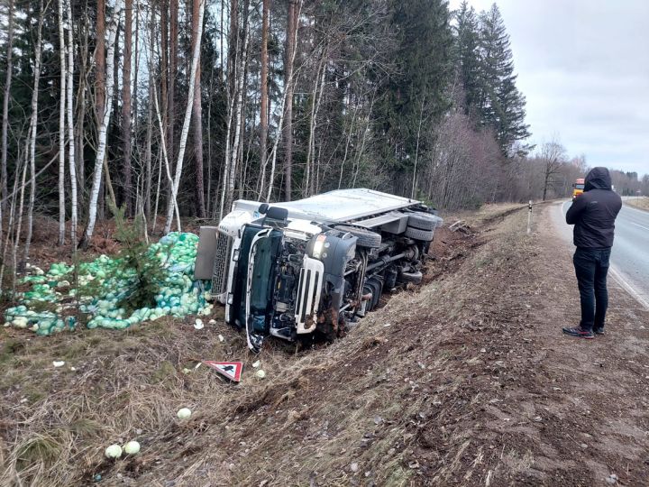 Pie Tīnūžiem avarējusi kravas automašīna ar pamatīgu kāpostu kravu