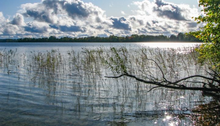 PAPILDINĀTS. Krāslavas novadā atrastas iespējama bezpilota gaisa kuģa atlūzas