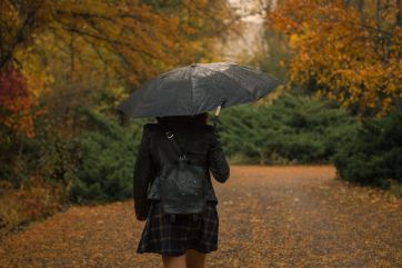 Attēls rakstam: Ogrē gaidāma rudenīga un lietaina diena