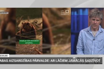 Attēls rakstam: "Dod virsū un trokšņo!" Ko biologs Māris Olte vēl iesaka, ja satiec mežā lāci