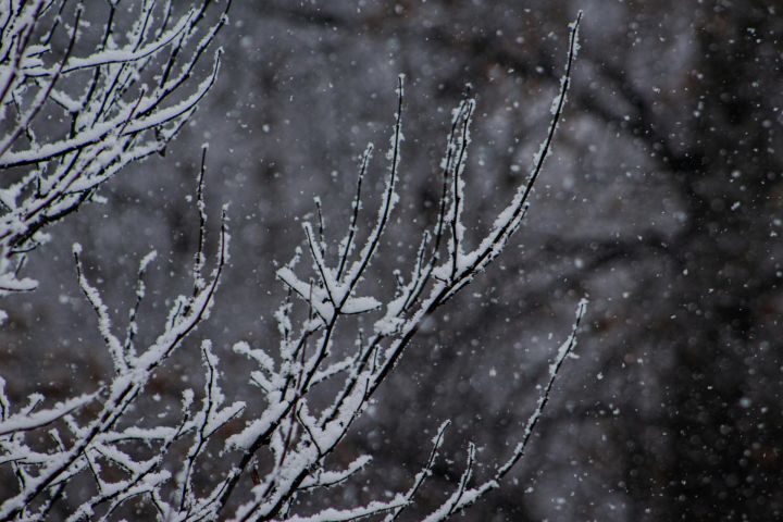 Naktī vietām Latvijā veidosies sniega sega un arī nākamajā dienā daudzviet gaidāmi nokrišņi