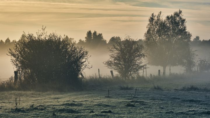 Trešdien daudzviet gaidāms neliels lietus un migla