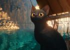 Attēls rakstam: Pēc režisora Zilbaloža godalgotās animācijas filmas "Straume" motīviem tapusi bilžu grāmata