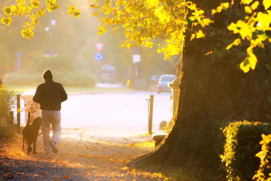 Jau pavisam drīz gaidāma atvasara, kas tik ātri nemaz nebeigsies
