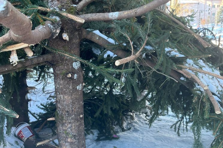 Attēls rakstam: Bērnu izpriecu vandalismi pie katoļu dievnama Lielvārdē