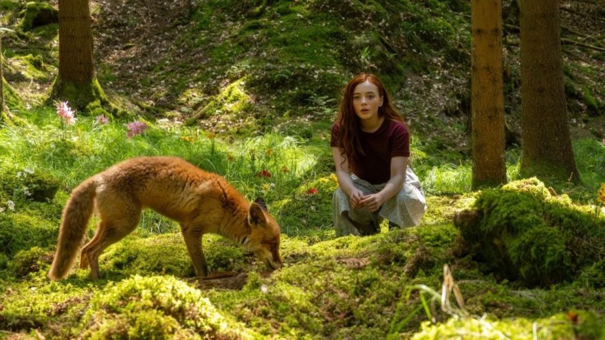 Filma "Meitene vārdā Vilo"