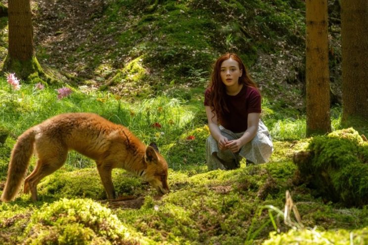 Attēls rakstam: Filma "Meitene vārdā Vilo"