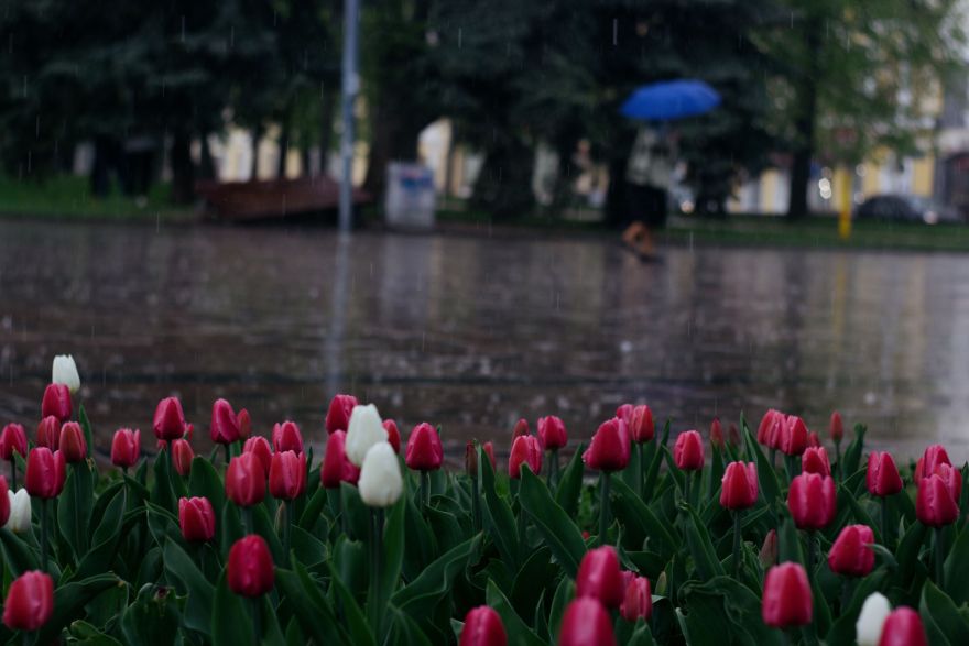 Nedēļa sāksies ar nokrišņiem bagātu dienu