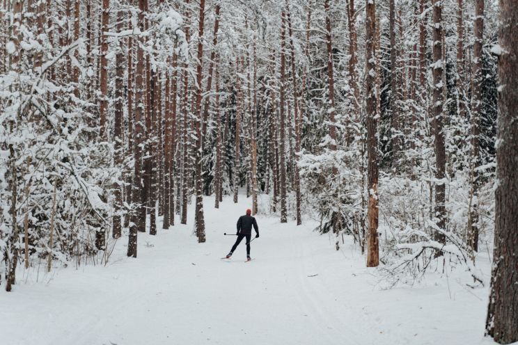 Attēls rakstam: Zilie kalni aicina ikvienu: slēpotājiem – sagatavota trase, pastaigām – citi maršruti