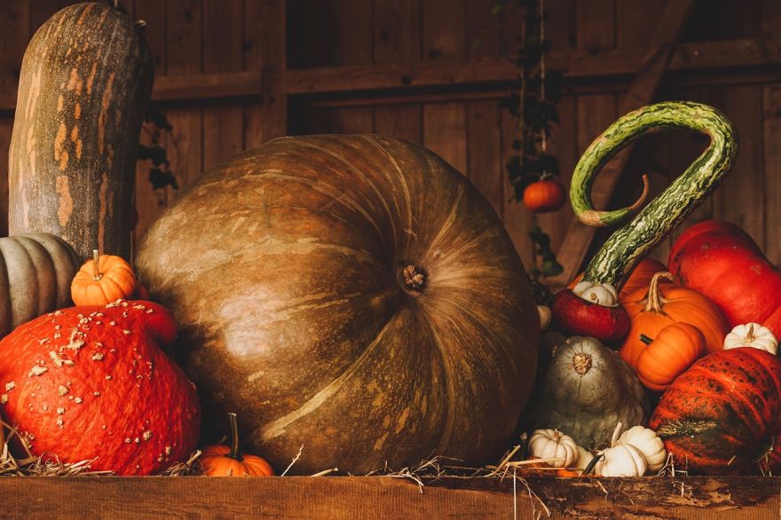 Rudens ražas izstādes atklāšana
