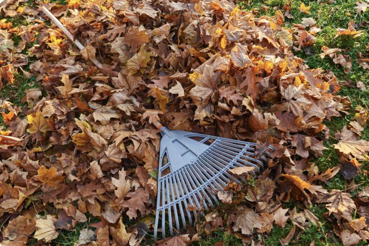 Dārza atkritumiem mežā nav vietas