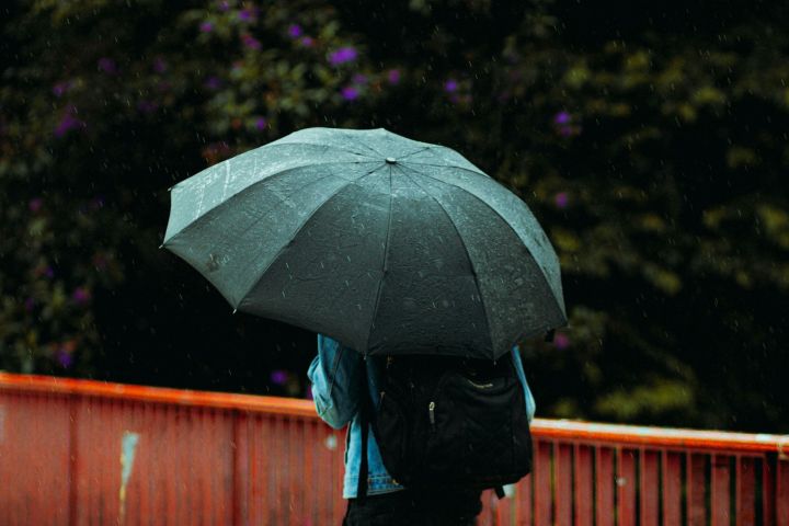 Nākamnedēļ gaidāms lietus un brāzmains vējš