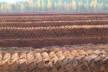 Attēls rakstam: Kūdras ieguve Latvijā – izaicinājumi un perspektīvas