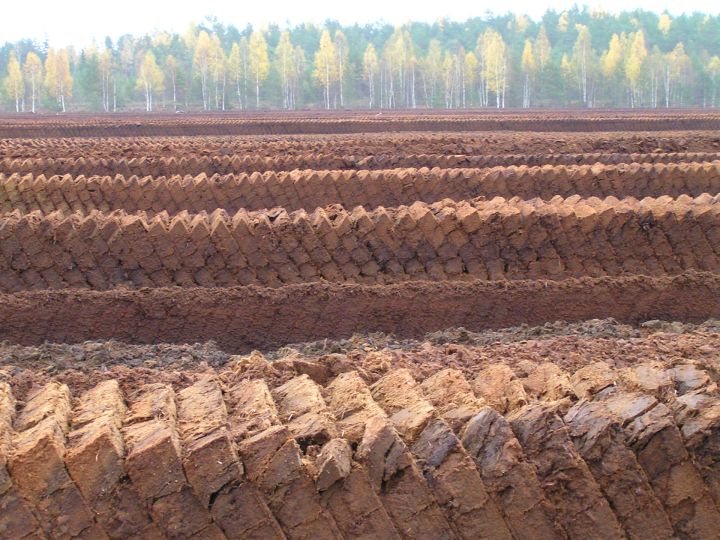 Kūdras ieguve Latvijā – izaicinājumi un perspektīvas