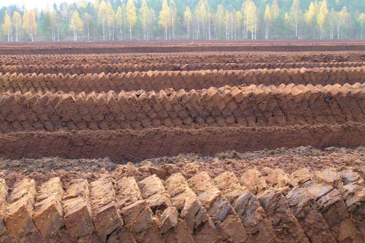 Attēls rakstam: Kūdras ieguve Latvijā – izaicinājumi un perspektīvas