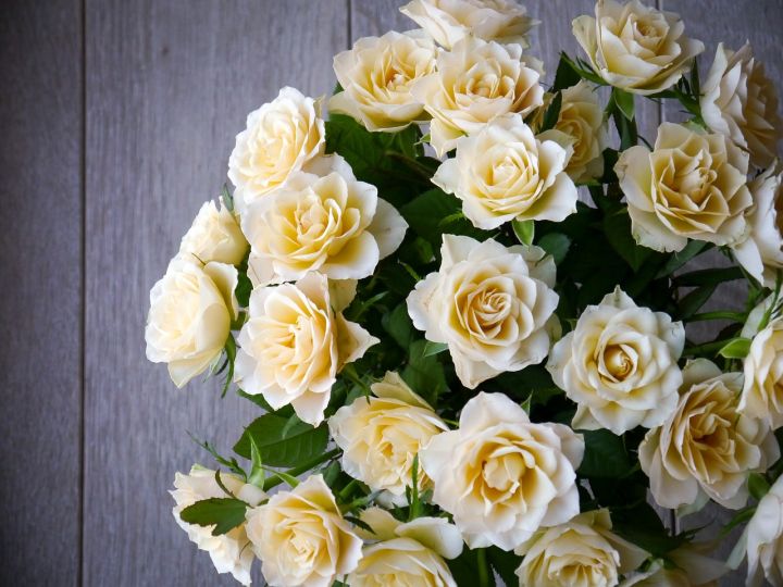 Pasākums cienījama vecuma meņģeliešiem "Tavs mūžs kā zvaigzne mirdz"