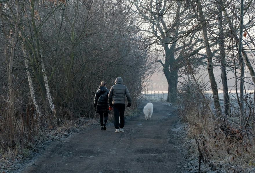 Svētku nedēļā gaidāms vēss, bet ne sniegots laiks
