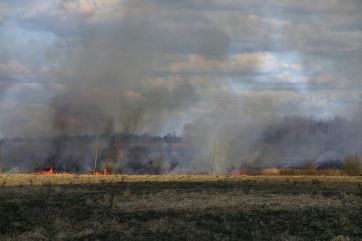 Attēls rakstam: Piektdien ugunsdzēsēji dzēsuši 12 kūlas un piecus meža ugunsgrēkus
