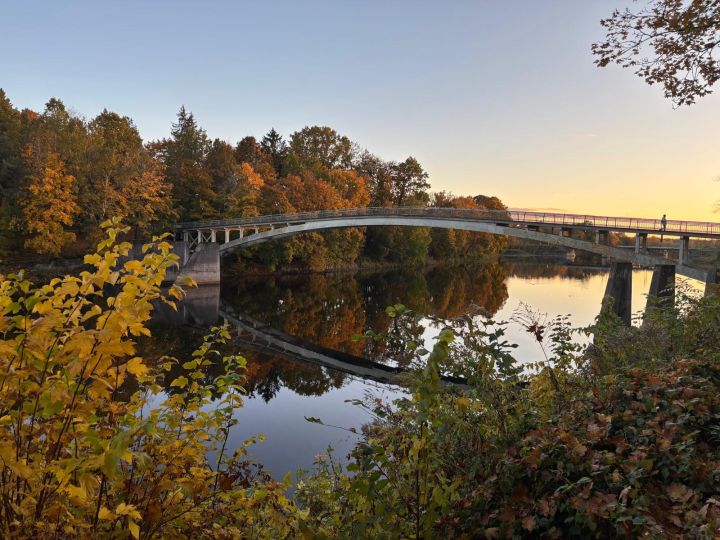 FOTO: Zelta rudens ieskauj Ogri