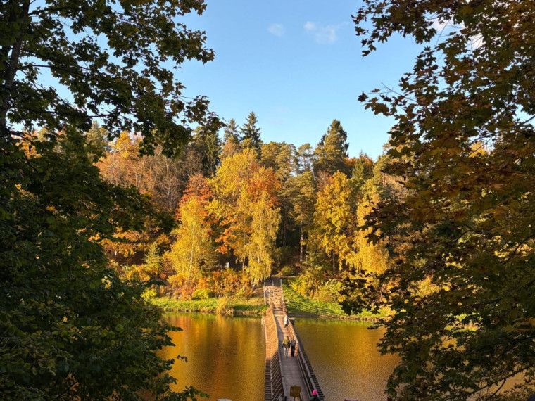 FOTO: Zelta rudens ieskauj Ogri