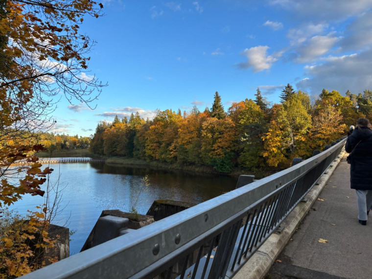 FOTO: Zelta rudens ieskauj Ogri