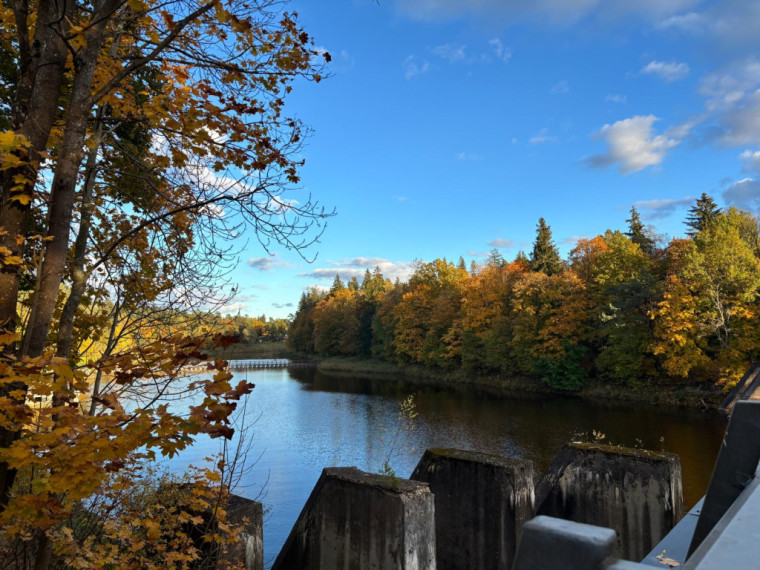 FOTO: Zelta rudens ieskauj Ogri