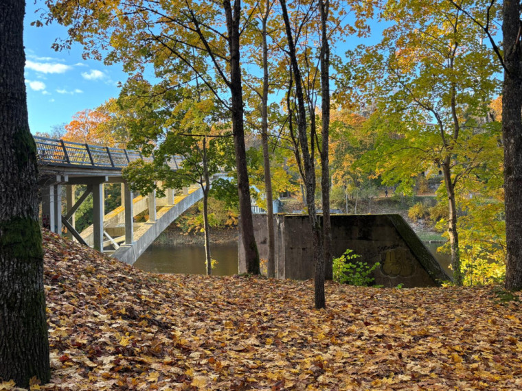 FOTO: Zelta rudens ieskauj Ogri