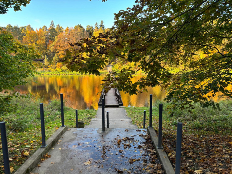 FOTO: Zelta rudens ieskauj Ogri