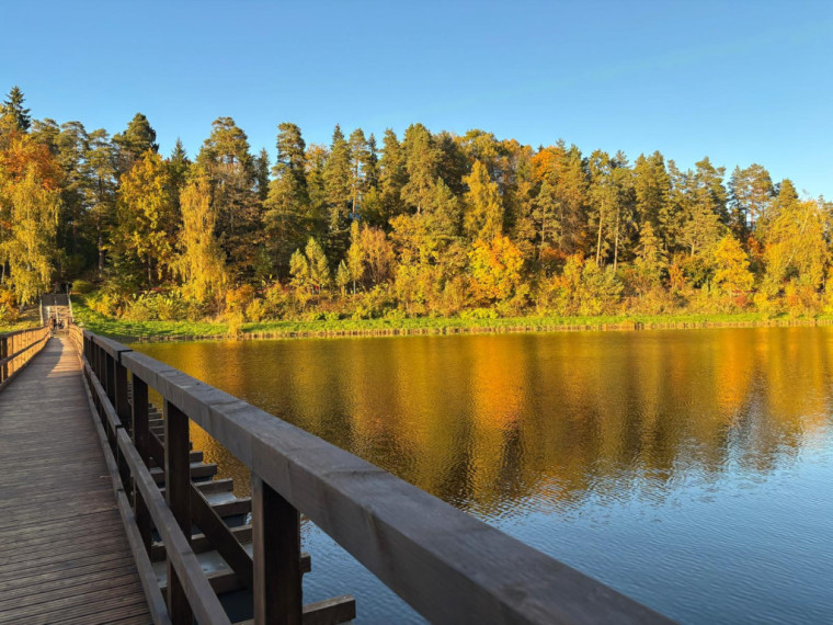 FOTO: Zelta rudens ieskauj Ogri