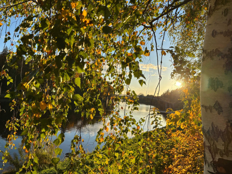 FOTO: Zelta rudens ieskauj Ogri