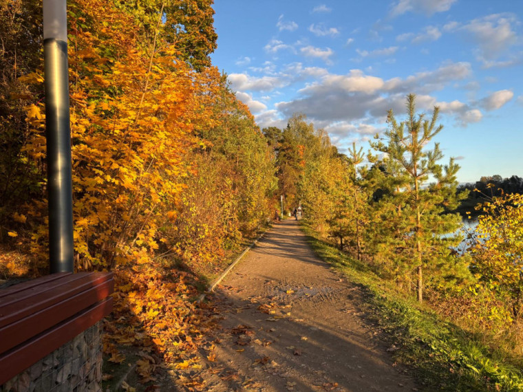 FOTO: Zelta rudens ieskauj Ogri