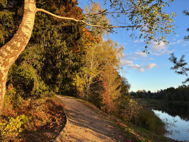 FOTO: Zelta rudens ieskauj Ogri