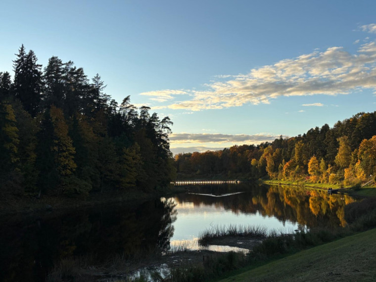 FOTO: Zelta rudens ieskauj Ogri