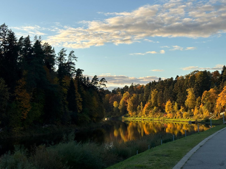 FOTO: Zelta rudens ieskauj Ogri