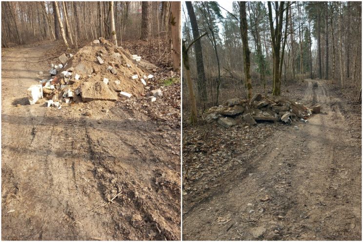 Attēls rakstam: "Negribas to darītāju nosaukt par cūku" – vietējie pikti par Pārogres mežā redzēto