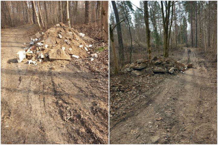 "Negribas to darītāju nosaukt par cūku" – vietējie pikti par Pārogres mežā redzēto