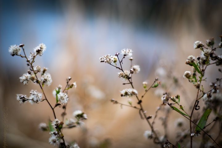 Otrdiena būs mākoņaina un vēsa