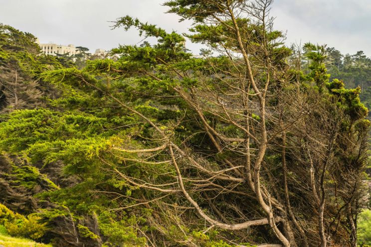 Attēls rakstam: Sinoptiķi brīdina par stipru vēju sestdien un svētdien