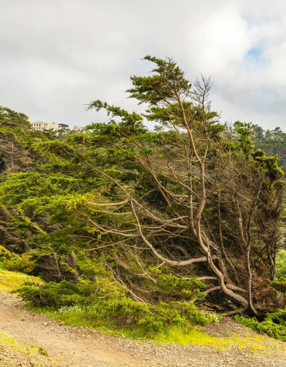 Sinoptiķi brīdina par stipru vēju sestdien un svētdien