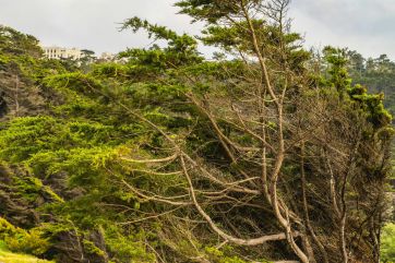 Attēls rakstam: Sinoptiķi brīdina par stipru vēju sestdien un svētdien