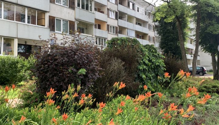“Gada balva “Sakoptākais Latvijas daudzdzīvokļu mājas pagalms 2024””