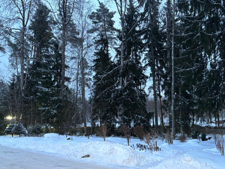 FOTO: Nākamgad sēņot būs jādodas citur: mežsaimniecības darbi Ogres pievārtē, tostarp Kalnājos, turpinās