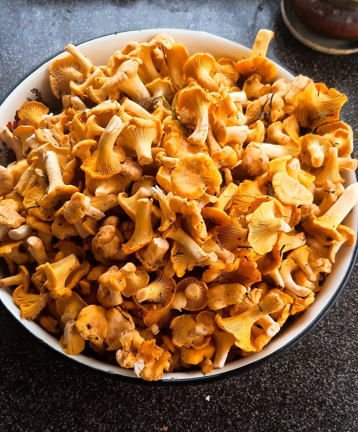 Ekrānuzņēmums no "Facebook"/Sēņu medniekiem