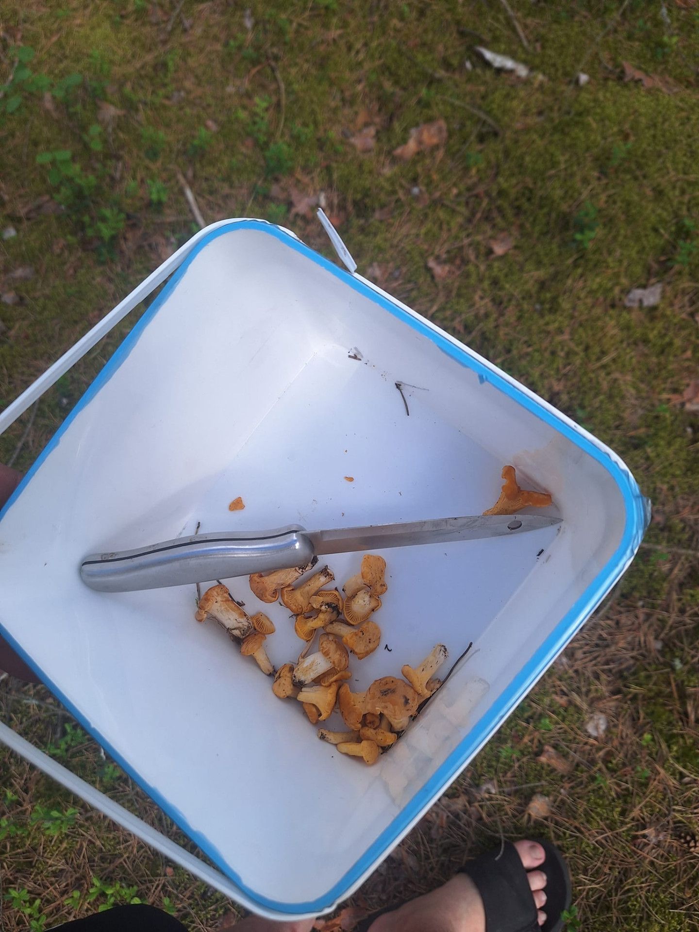 Ekrānuzņēmums no "Facebook"/Sēņu medniekiem