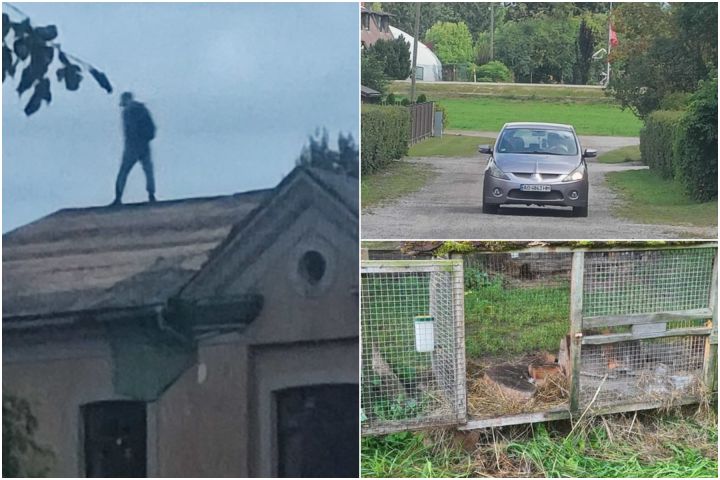 Lielvārdē uzdarbojas "sirotāji", Ikšķilē uzbrūk zoodārza dzīvniekiemi, Ogrē pašiem savs Karlsons - nedēļas notikumu TOP 
