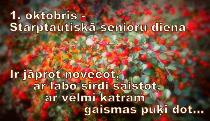 Senioru dienai veltīts pasākums