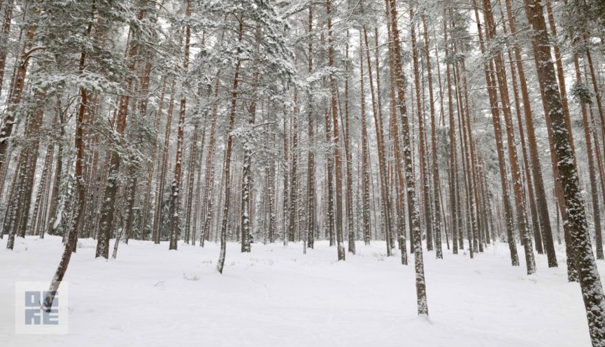 Aizvadīts 1. posms “Zilo kalnu apļu 2026” treniņslēpojumā