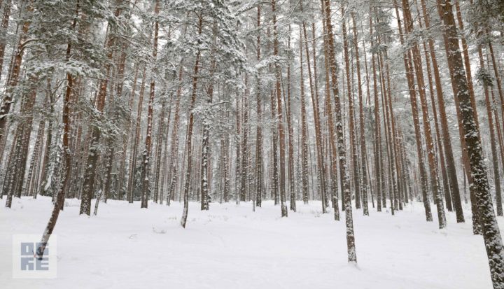 Aizvadīts 1. posms “Zilo kalnu apļu 2026” treniņslēpojumā